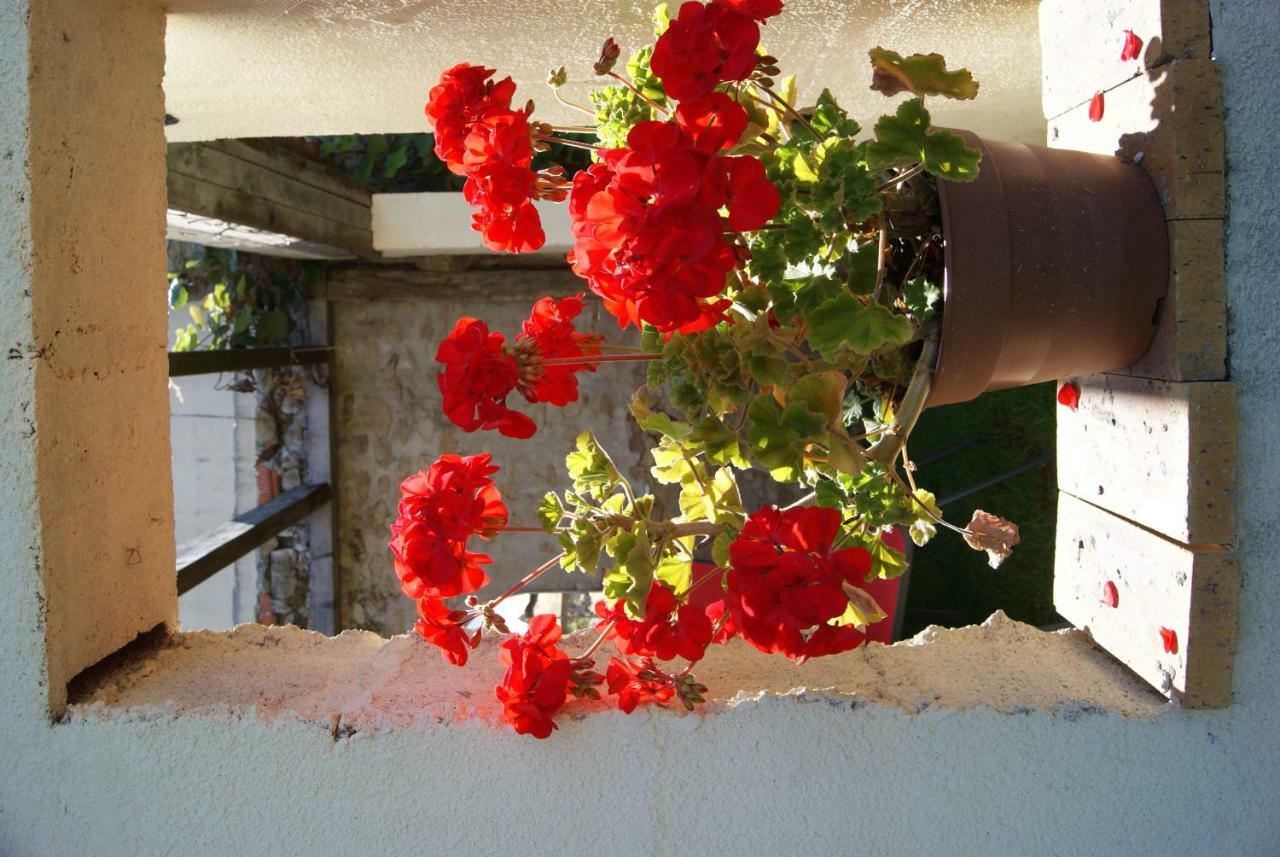 38 Friaudour Bed & Breakfast Saint-Pardoux-lʼOrtigier Eksteriør bilde